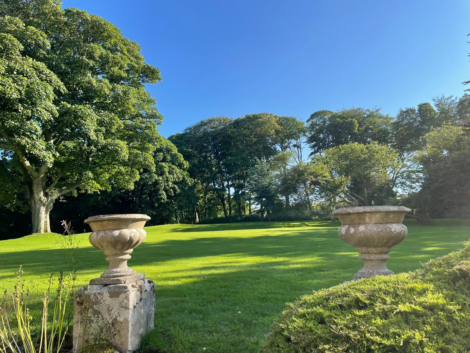 Marshall Meadows Manor garden space