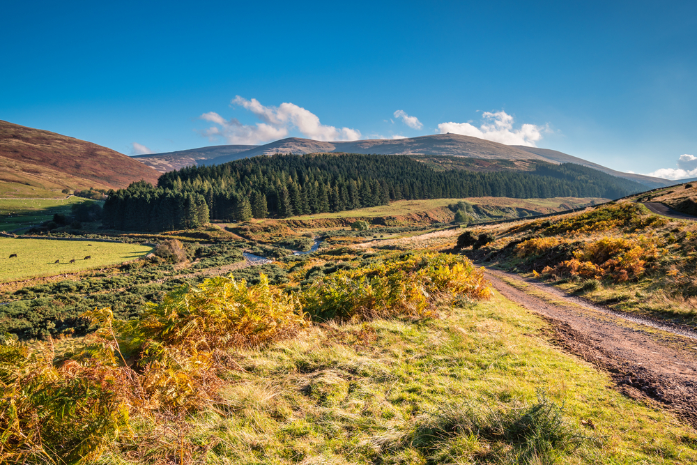 College Valley and The Cheviot / The Cheviot, from which the range takes its name is the highest point in Northumberland, located in the Anglo-Scottish borders, seen here in autumn from College Valley